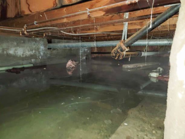 Best Carpet water damage restoration  in Solana Beach, CA