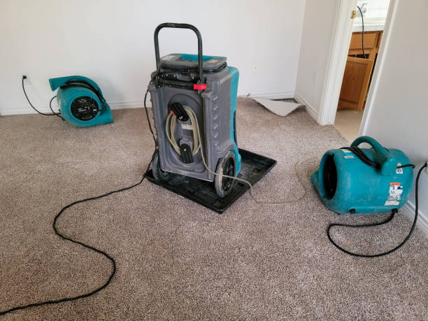 Best Local water damage restoration  in Solana Beach, CA