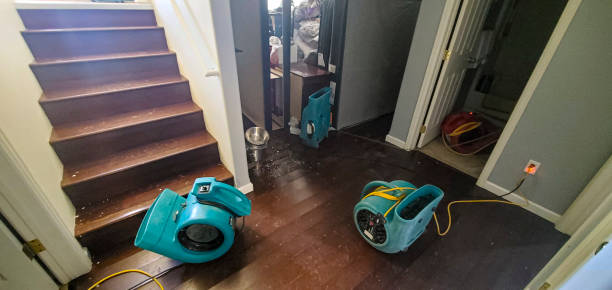 Best Flood damage cleanup  in Solana Beach, CA