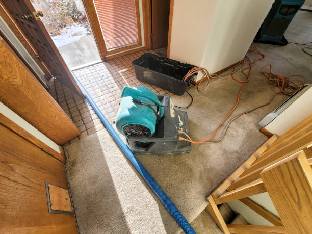 Best Ceiling water damage repair  in Solana Beach, CA