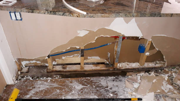 Best Water damage contractors near me  in Solana Beach, CA