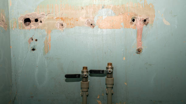 Best 24-hour water damage restoration  in Solana Beach, CA