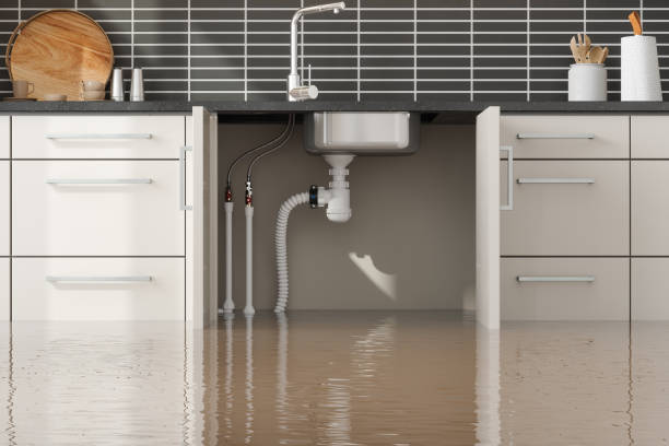 Best Water damage restoration near me  in Solana Beach, CA