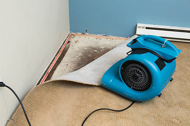 Best 24/7 water damage repair  in Solana Beach, CA